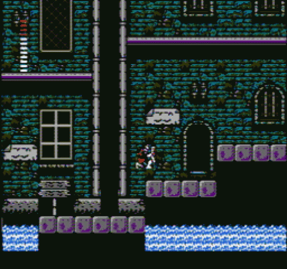 Castlevania II: Simon's Quest Screenshot 139 (Nintendo (US Version))