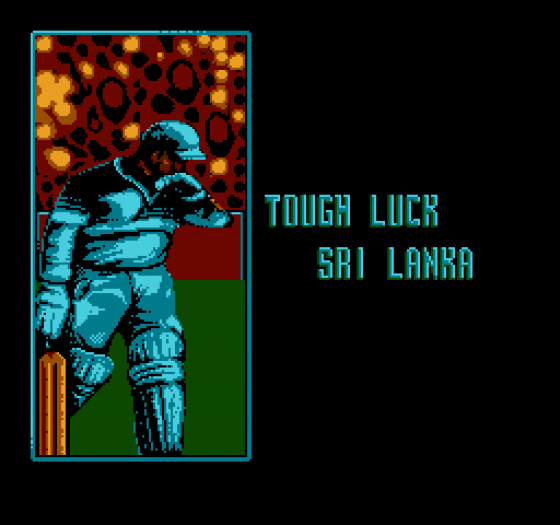 International Cricket Screenshot 6 (Nintendo (US Version))