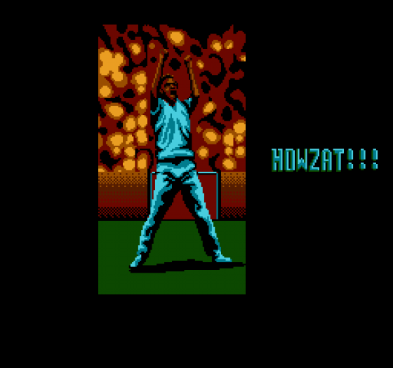 International Cricket Screenshot 7 (Nintendo (US Version))