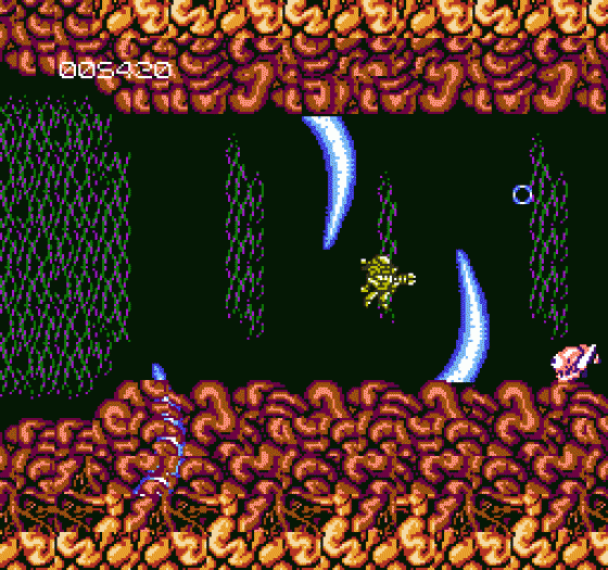 Abadox Screenshot 34 (Nintendo (US Version))