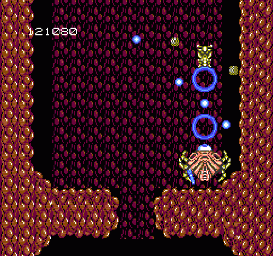 Abadox Screenshot 109 (Nintendo (US Version))