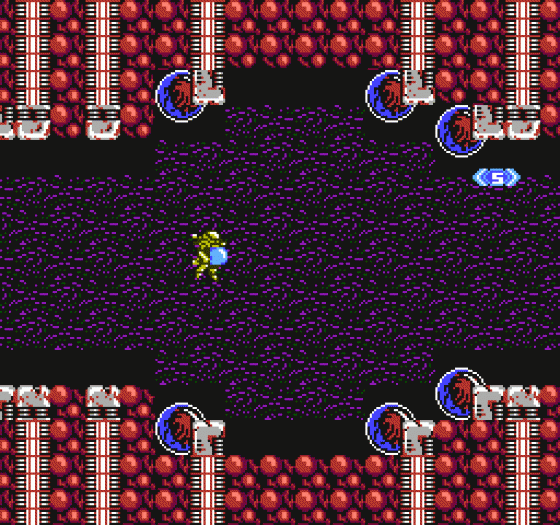 Abadox Screenshot 199 (Nintendo (US Version))