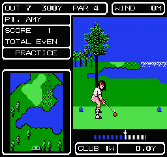 Lee Trevino's Fighting Golf