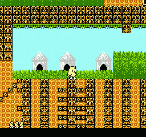 The New Zealand Story Screenshot 6 (Nintendo (US Version))