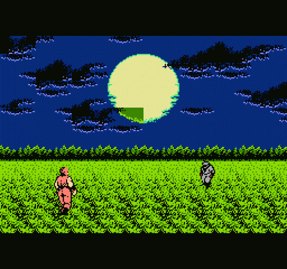 Ninja Gaiden Screenshot 23 (Nintendo (US Version))