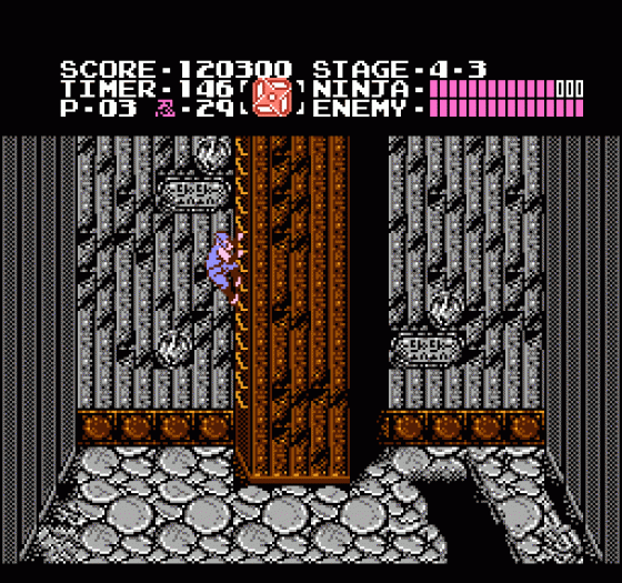 Ninja Gaiden Screenshot 243 (Nintendo (US Version))