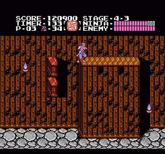 Ninja Gaiden Screenshot 245 (Nintendo (US Version))