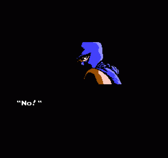 Ninja Gaiden Screenshot 394 (Nintendo (US Version))