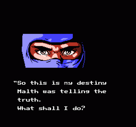 Ninja Gaiden Screenshot 400 (Nintendo (US Version))