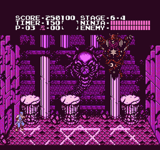 Ninja Gaiden Screenshot 427 (Nintendo (US Version))