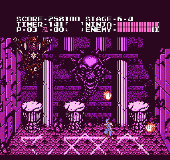 Ninja Gaiden Screenshot 428 (Nintendo (US Version))