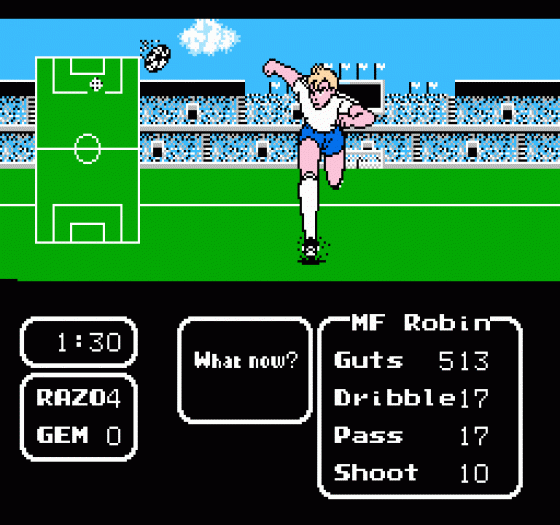 Tecmo Cup Soccer Game Screenshot 176 (Nintendo (US Version))