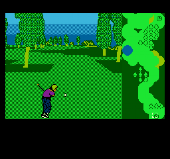 Greg Norman's Golf Power Screenshot 5 (Nintendo (US Version))