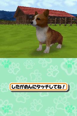 Animal Paradise Screenshot 8 (Nintendo DS)