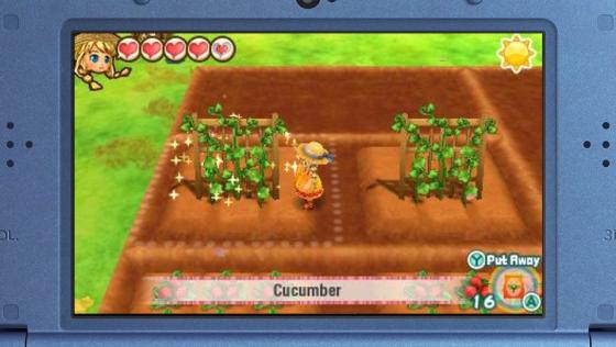 Story Of Seasons: Trio Of Towns