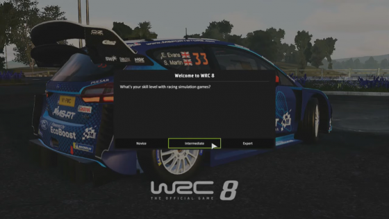 WRC 8 Screenshot 41 (Nintendo Switch (EU Version))