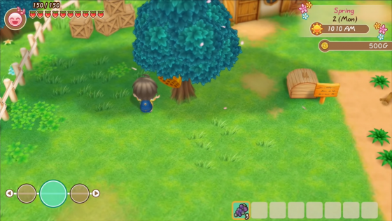 Story Of Seasons: Friends Of Mineral Town Screenshot 7 (Nintendo Switch (EU Version))