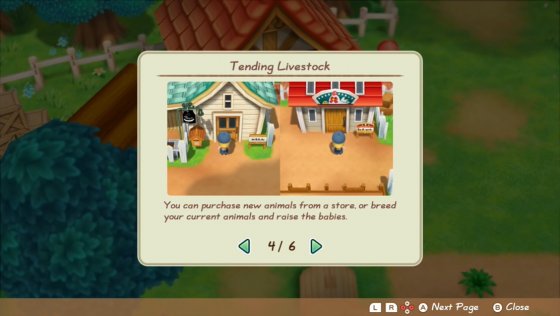 Story Of Seasons: Friends Of Mineral Town Screenshot 20 (Nintendo Switch (EU Version))