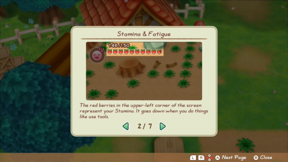 Story Of Seasons: Friends Of Mineral Town Screenshot 22 (Nintendo Switch (EU Version))