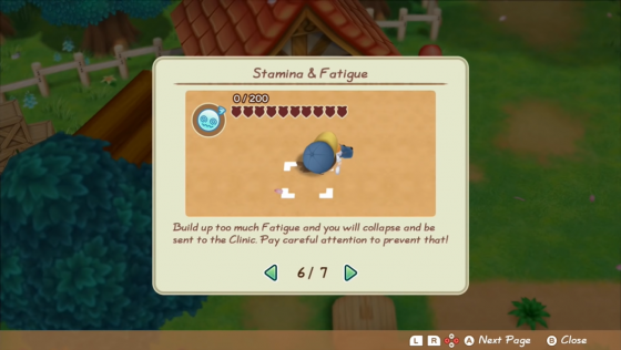 Story Of Seasons: Friends Of Mineral Town Screenshot 23 (Nintendo Switch (EU Version))