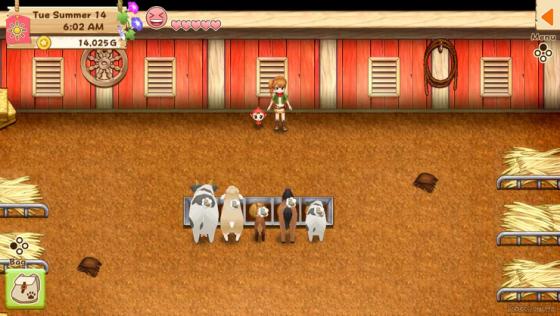 Harvest Moon: Light Of Hope Special Edition Screenshot 6 (Nintendo Switch (US Version))