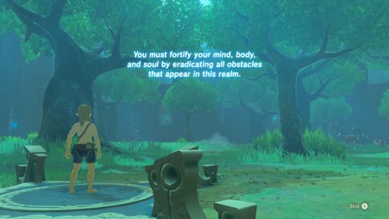 Zelda: Breath Of The Wild DLC Pack 1 Screenshot 11 (Nintendo Switch (US Version))