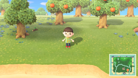 Animal Crossing: New Horizons Screenshot 15 (Nintendo Switch (JP Version))