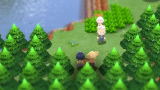 Pokemon Brilliant Diamond Screenshot 9 (Nintendo Switch (EU Version))