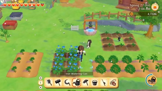 Story Of Seasons: Pioneers Of Olive Town Screenshot 11 (Nintendo Switch (EU Version))