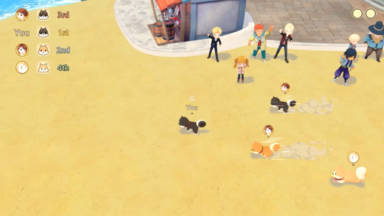 Story Of Seasons: Pioneers Of Olive Town Screenshot 34 (Nintendo Switch (EU Version))