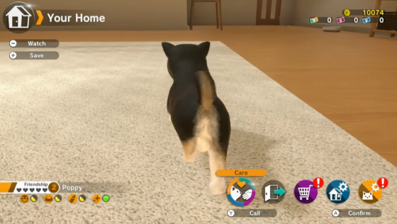 Little Friends: Dogs & Cats Screenshot 6 (Nintendo Switch (EU Version))