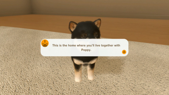 Little Friends: Dogs & Cats Screenshot 13 (Nintendo Switch (EU Version))