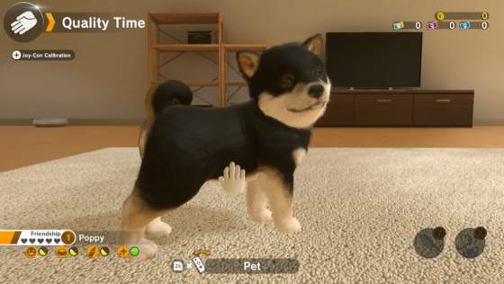 Little Friends: Dogs & Cats Screenshot 16 (Nintendo Switch (EU Version))