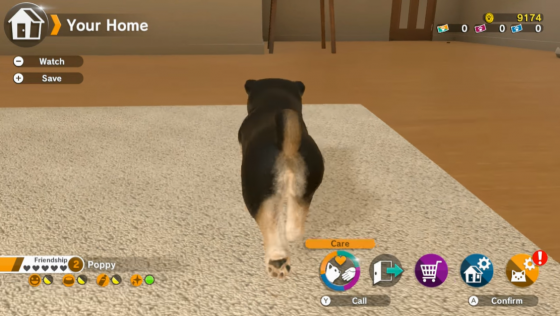 Little Friends: Dogs & Cats Screenshot 22 (Nintendo Switch (EU Version))