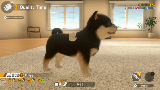 Little Friends: Dogs & Cats Screenshot 27 (Nintendo Switch (EU Version))