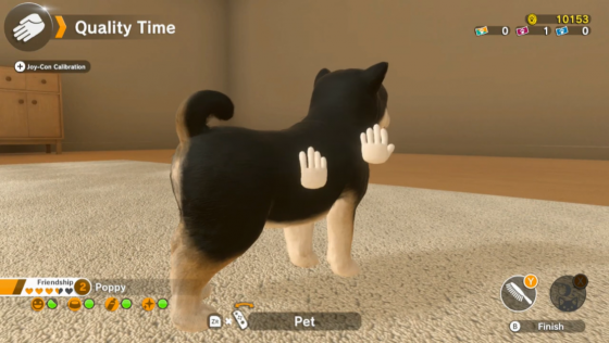 Little Friends: Dogs & Cats Screenshot 32 (Nintendo Switch (EU Version))