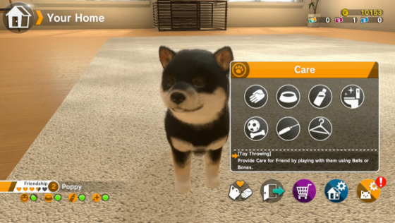 Little Friends: Dogs & Cats Screenshot 33 (Nintendo Switch (EU Version))