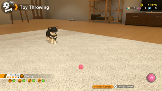 Little Friends: Dogs & Cats Screenshot 34 (Nintendo Switch (EU Version))