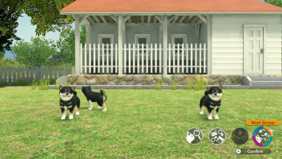 Little Friends: Dogs & Cats Screenshot 41 (Nintendo Switch (EU Version))