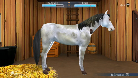 My Riding Stables: Life With Horses Screenshot 8 (Nintendo Switch (EU Version))