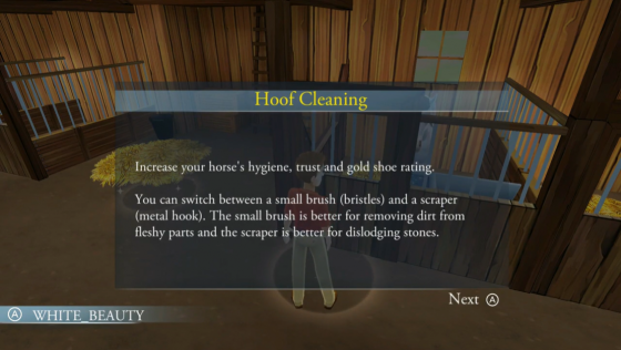 My Riding Stables: Life With Horses Screenshot 13 (Nintendo Switch (EU Version))