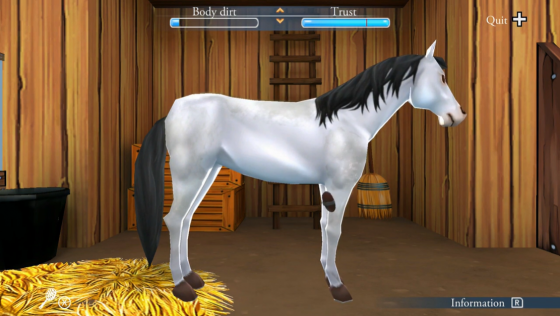 My Riding Stables: Life With Horses Screenshot 19 (Nintendo Switch (EU Version))