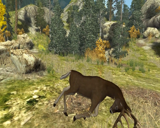 Cabela's Big Game Hunter 2010 Screenshot 8 (Nintendo Wii (US Version))