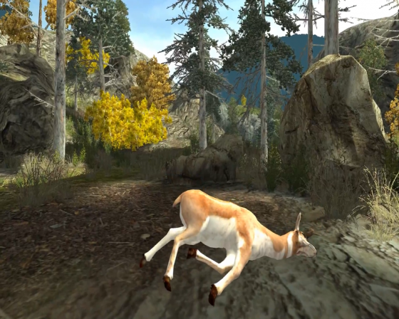 Cabela's Big Game Hunter 2010 Screenshot 29 (Nintendo Wii (US Version))