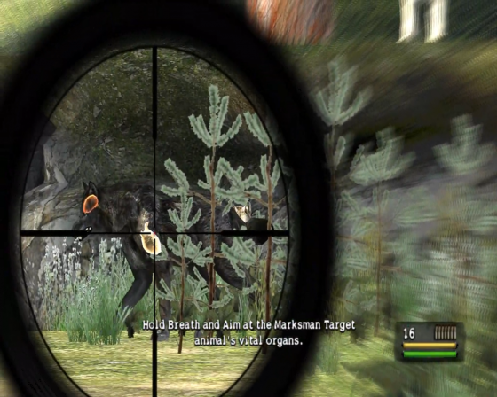 Cabela's Dangerous Hunts 2013 Screenshot 5 (Nintendo Wii (US Version))