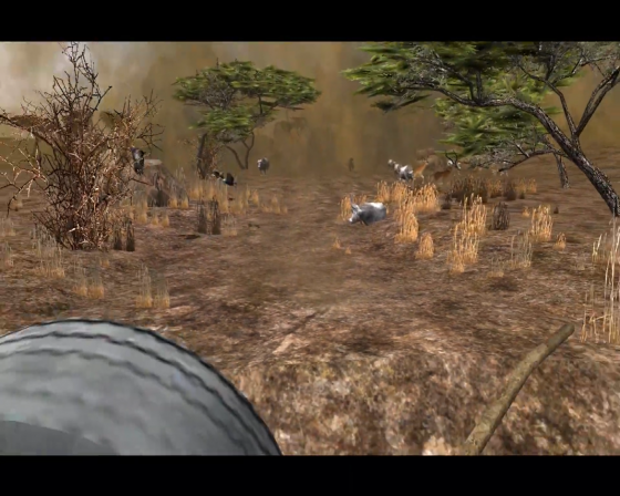 Cabela's Dangerous Hunts 2013 Screenshot 51 (Nintendo Wii (US Version))