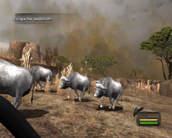 Cabela's Dangerous Hunts 2013 Screenshot 52 (Nintendo Wii (US Version))