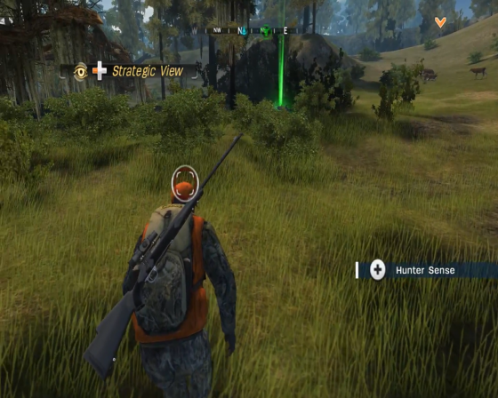 Cabela's Hunting Expeditions Screenshot 6 (Nintendo Wii (US Version))