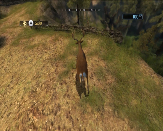 Cabela's Hunting Expeditions Screenshot 20 (Nintendo Wii (US Version))