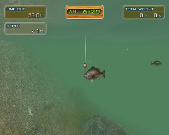 Hooked! Again: Real Motion Fishing Screenshot 11 (Nintendo Wii (US Version))